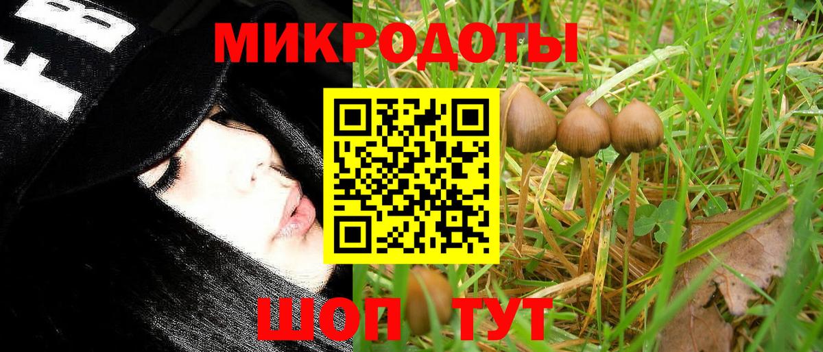 Артёмовский  Галлюциногенные грибы MAGIC MUSHROOMS  Вход с VPN 