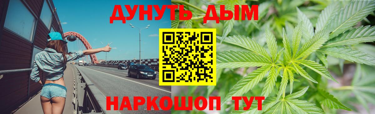 Каннабис MAZAR Артёмовский